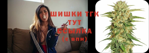 ECSTASY Баксан