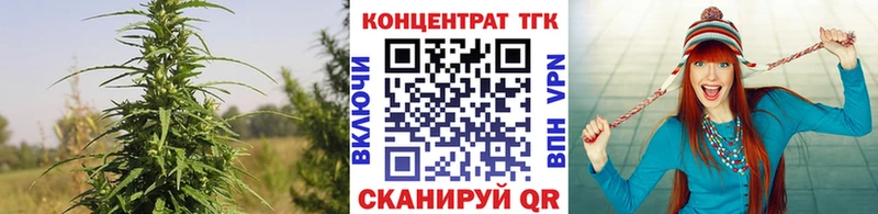 ТГК концентрат  Купить закладки  Заполярный 